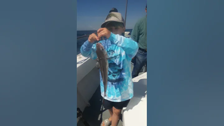 Haddock . 1st for Jr