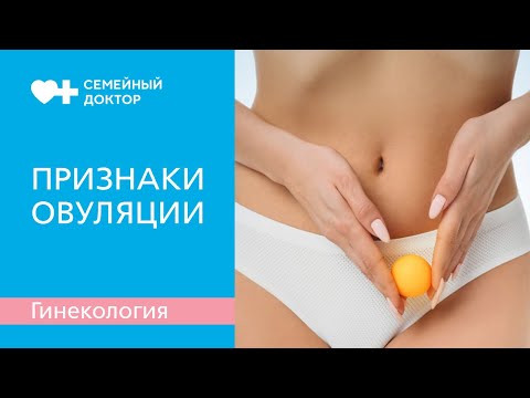 Определение овуляции в домашних условиях