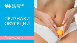 Как определить овуляцию?