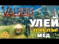 Как построить Улей ➤ Где найти Мёд и Матку Пчелы Valheim