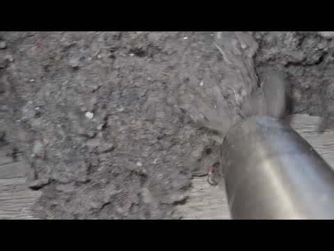 Hetty Vacuum Open Hose POV Dirt & Lint Play🐾