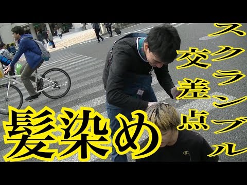 スクランブル交差点で金髪ヤンキーがカリスマ美容師に黒染めしてもらった 出演:ハヤト