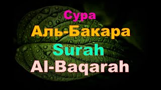 Сура Аль-Бакара уйнузду тазалайт,Surah Al-Baqarah,очищение домаКрасивое чтение