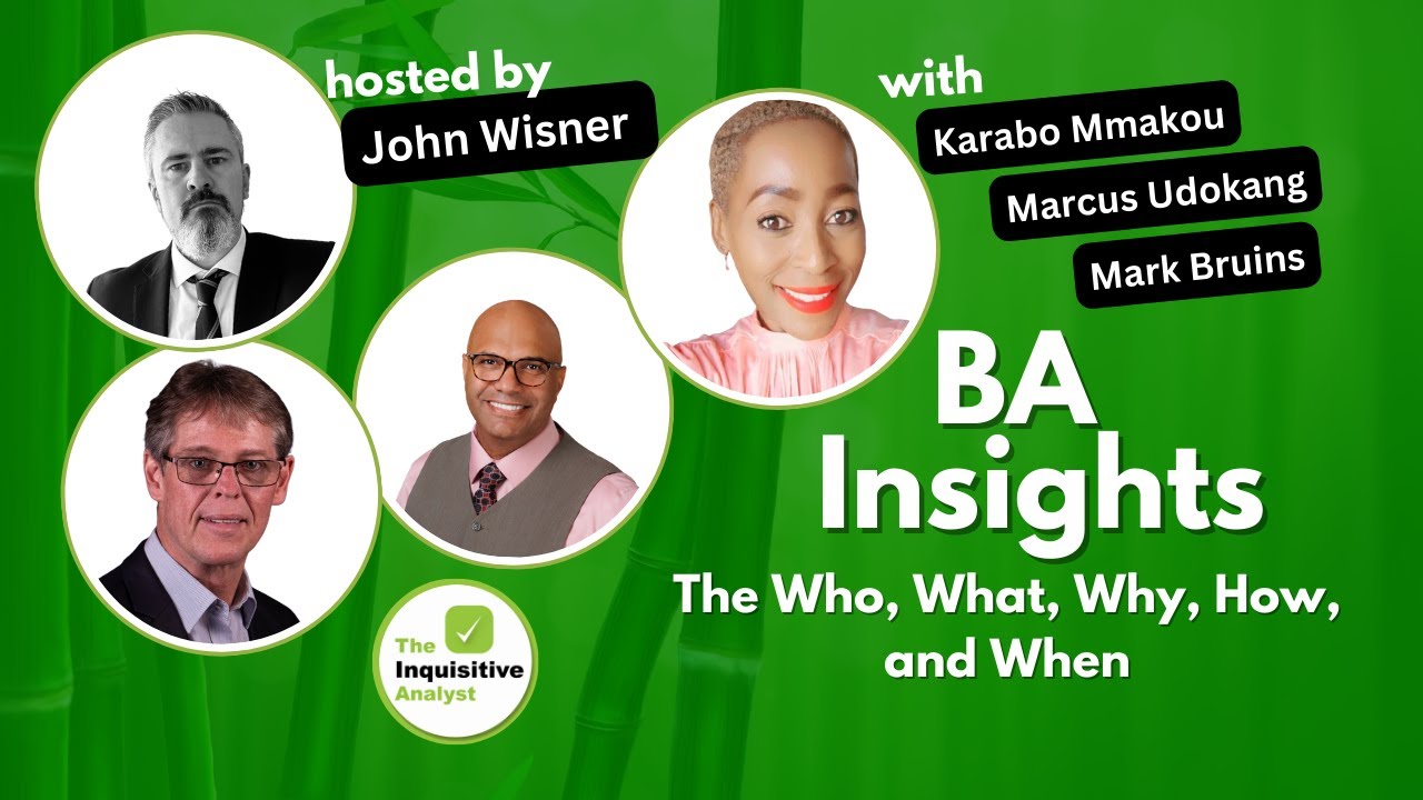 BA Insights - Who, What, Why, How, and When about Business Analysis ...
