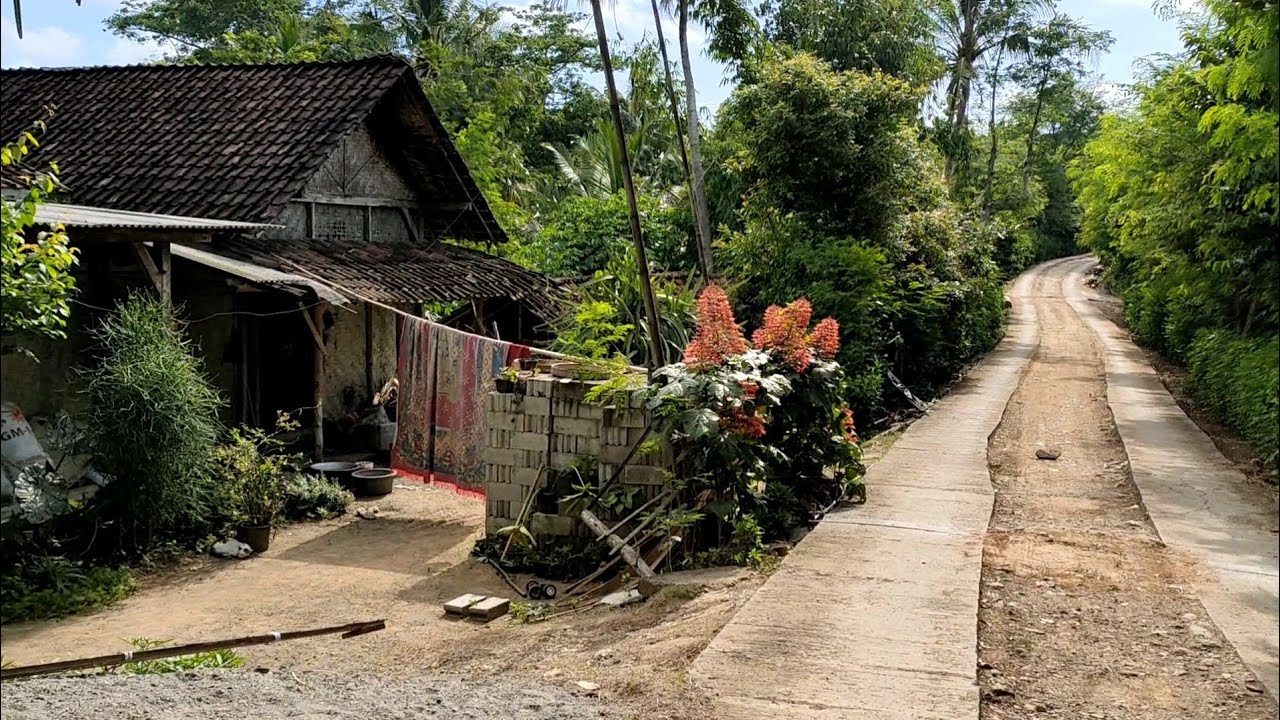 Pesona Alam Suasana Kampung Halaman Di Desa Yang Bersih Tenang Dan