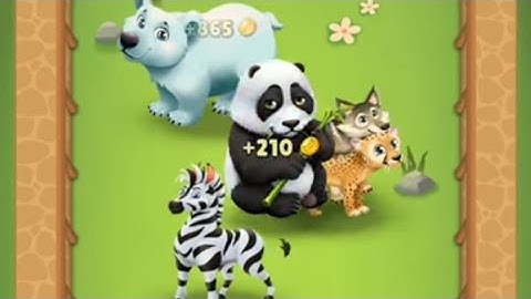 Merge Zoo