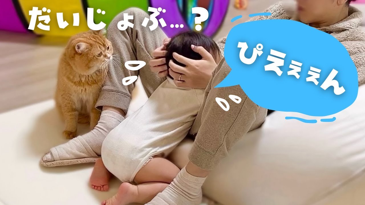 ねこまま♡ The cat snuggling up to the baby who had fallen and was