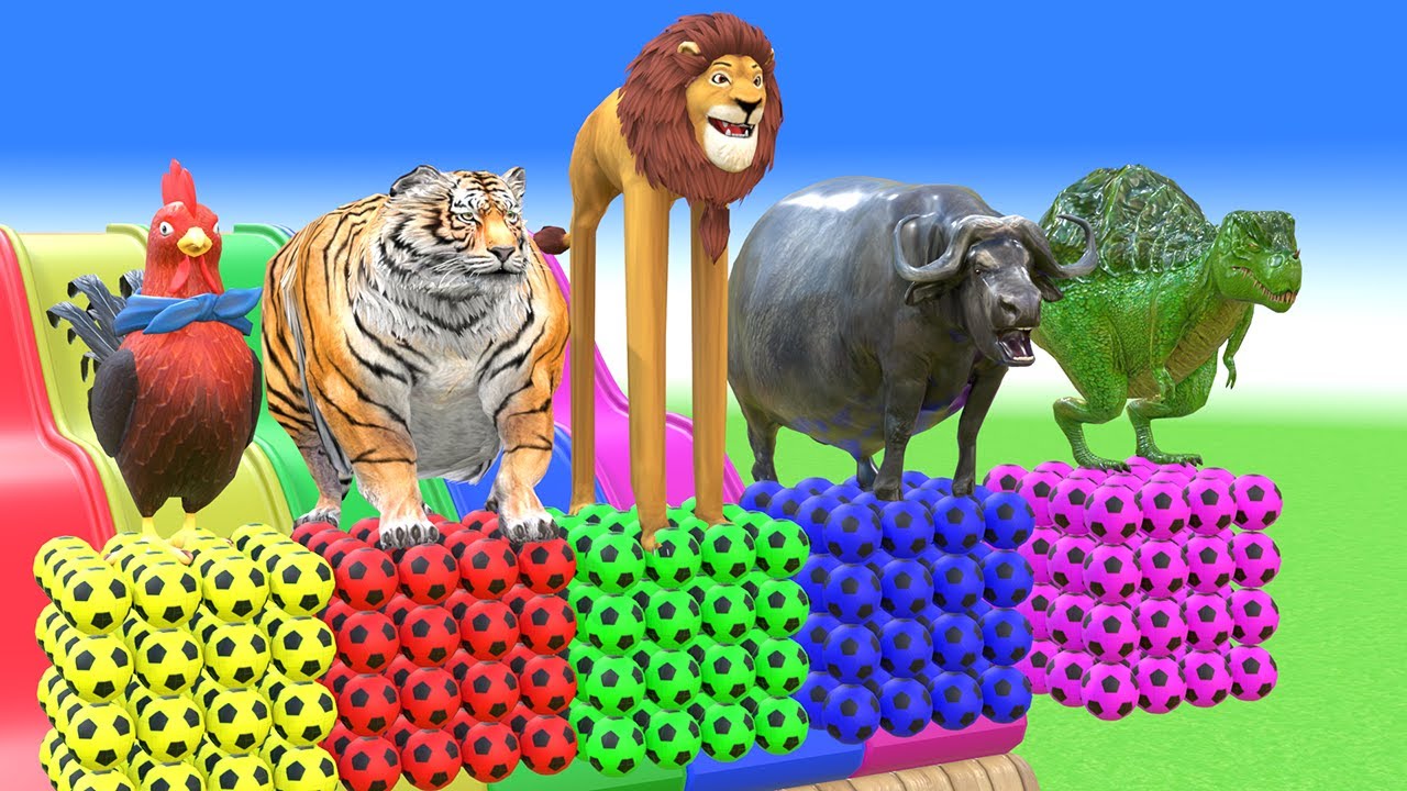 Long Slide Game With Lion Tiger Buffalo Dinosaur Chicken 3d Animal Funny Game, Paint Animals