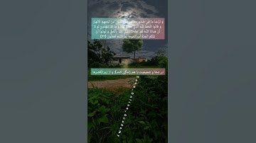 ترجمه‌ی آیات 42 و 43 سوره اعراف #sana_online_academy #اکادمی_آنلاین_سنا @Sana_learning_quran