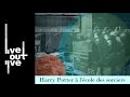 Lecture dharry potter  lcole des sorciers  chapitre 3  5