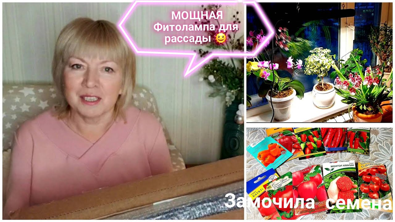 Галина андреева последние видео