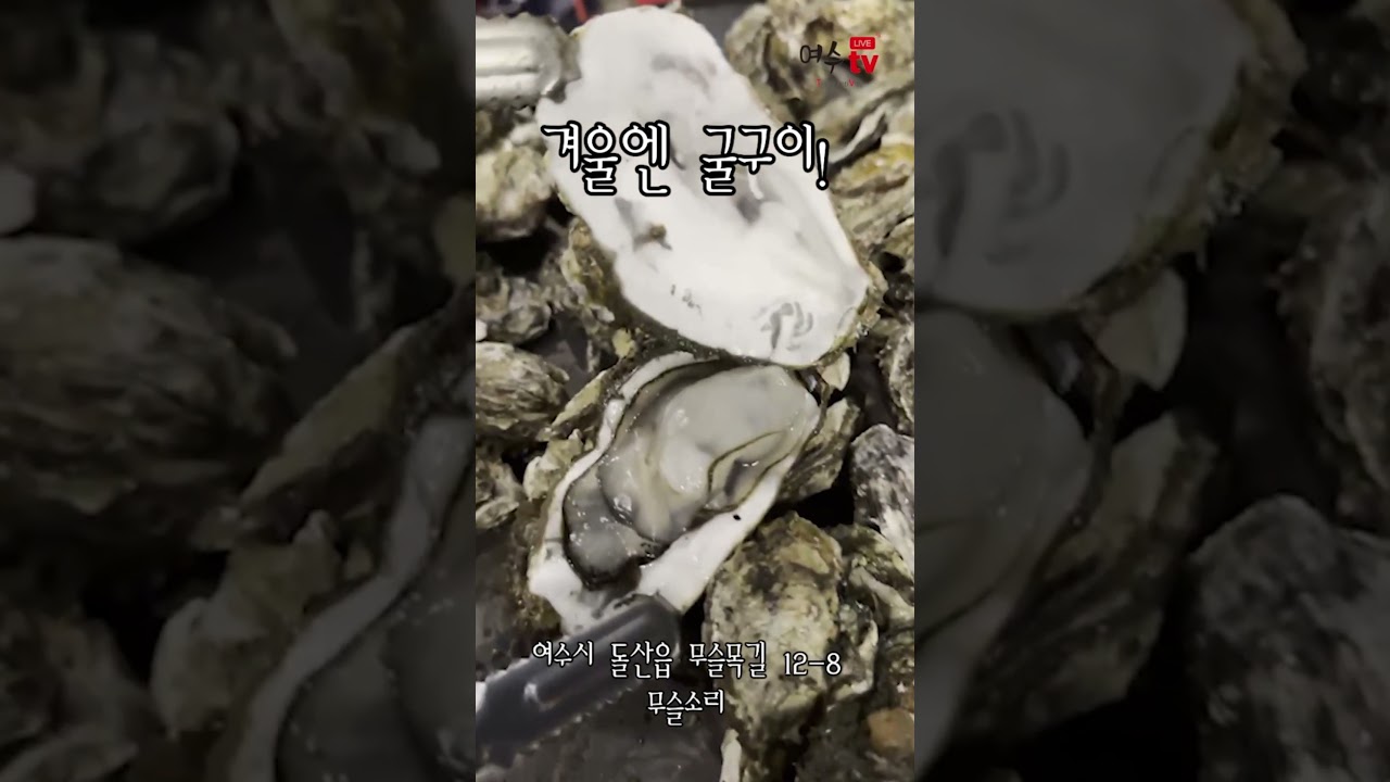 바다를 바라보며 무제한굴구이를 즐겨보세요! #shorts #여수돌산카페 #여수여행 #무슬소리