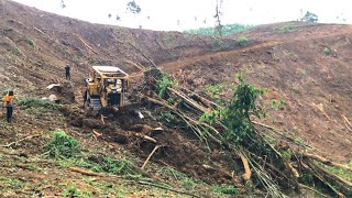 Process of Forming a New Road on Oil Palm Land Using a Caterpillar D6R XL Bulldozer