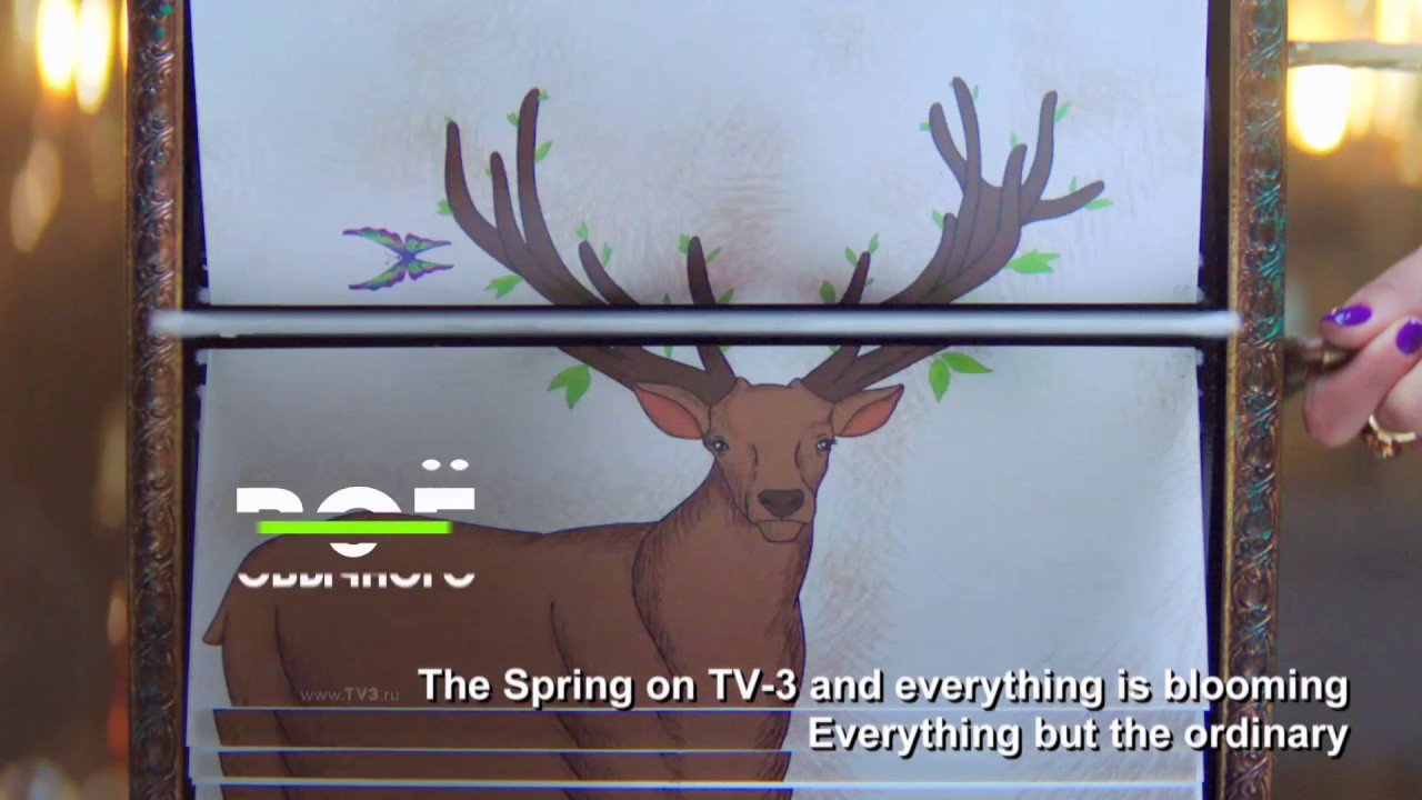 TV-3 Spring ID 2017 Flipbook