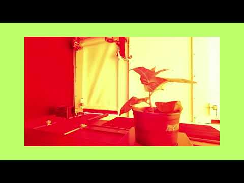 Physiological Plant Phenotyping