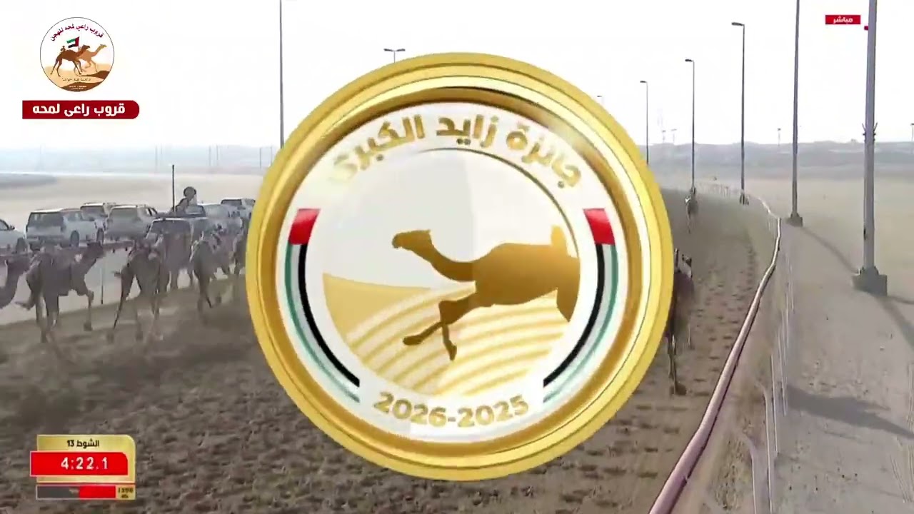 الشوط 13 متعود لـ صالح محمد بن سالمين العامري 9:13:43( جائزة زايد الكبرى 2025 )