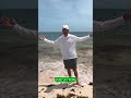 Zedi UPF 50+ Shirts: 3-Pack Beach Essential Review! #shorts