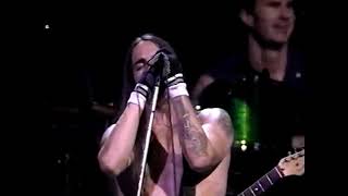 View Red Hot Chili Peppers Live at Madison Square Garden 1996 Performance