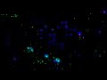 Neon Matrix Flow – Futuristic Blue & Green Square Animation | Free Motion Graphics Background