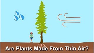 Are Plants Made From Thin Air