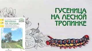 Гусеница на лесной тропинке. Великан на поляне