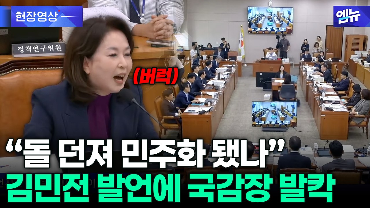 "돌 던져 민주화 됐나" 김민전 발언에 국감장 발칵...왜?