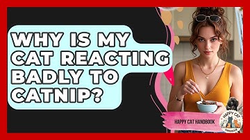 Why Is My Cat Reacting Badly To Catnip? - Happy Cat Handbook