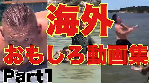 面白い動画 海外 Mp3