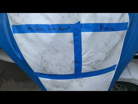 Product Test: Bleach vs Mold Armor Cleaning Boat Bean Bags