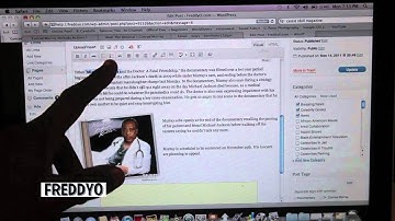 WordPress Tutorial for Beginners Part 4- Making Your Post POP Freddyo.com