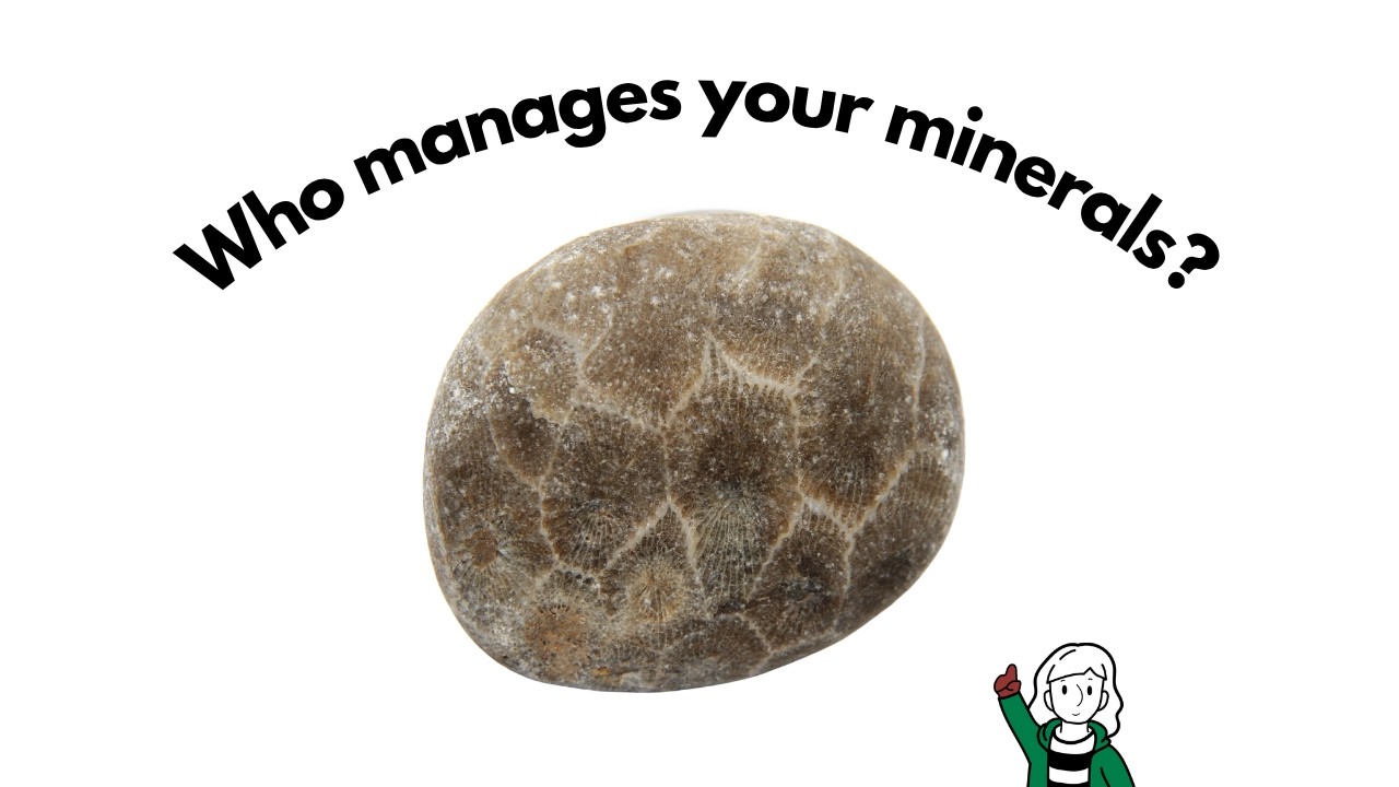 How Does the Michigan DNR Manage Minerals?