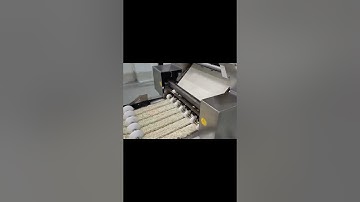 Factory Instant noodle production line