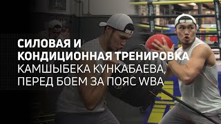 Силовая и кондиционная тренировка Камшыбека Кункабаева, перед боем за пояс WBA