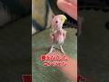 あなたは天使　　　 #動物 #動物のいる暮らし #鳥 #animals