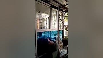 Xưởng sản xuất cửa nhựa lõi thép Bảo Hân  Lh: 0979247638