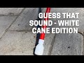 Guess That Sound - White Cane Edition