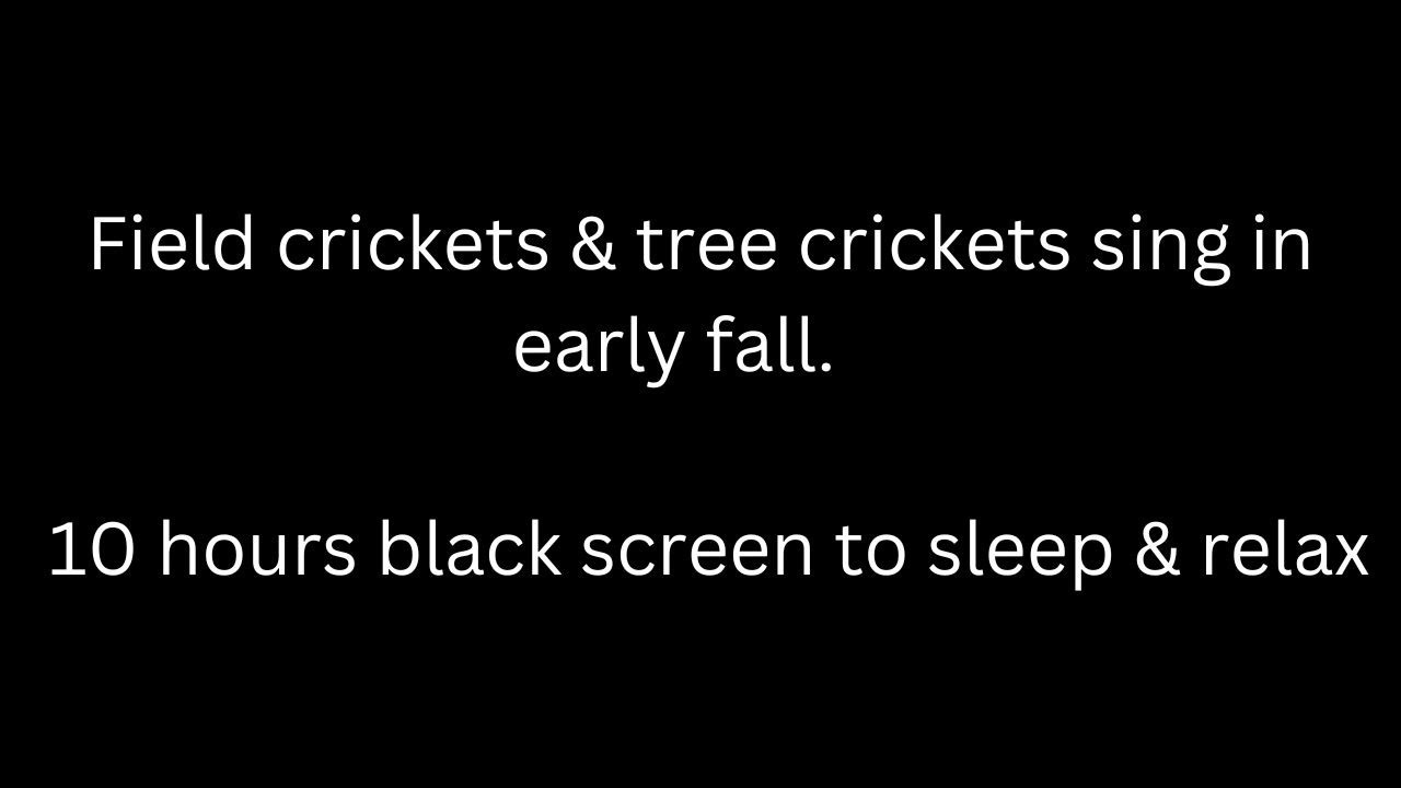 Field crickets & tree crickets sing early fall cricket sounds 10 hours