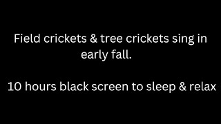 Field crickets &amp; tree crickets sing early fall cricket sounds 10 hours black screen to sleep &amp; relax