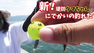 巨大な堤防で釣魚をエサにわらしべ(381話目)
