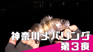 【 ライトソルトゲーム 】神奈川メバル調査 第３夜 釣り初め 2022年1月【 横浜でメバル釣り 】#go_fishing