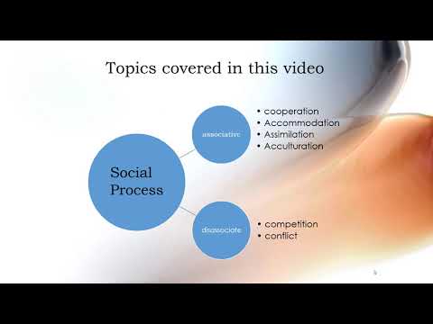 Video: Learning As A Social Process