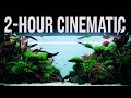 2hour relaxation  650liter nature aquarium  4k cinematic