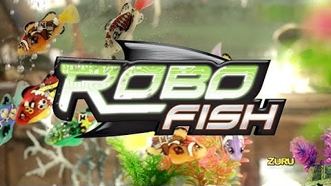 Robo Fish Pirate from Hawkin