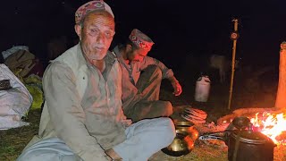 Gaddi भाई लोगों की दिनचर्या Shepherd's are migrating towards Himalyas.
