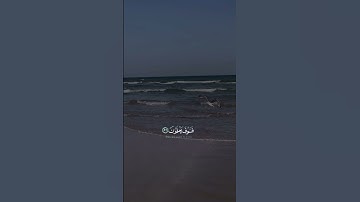 سورة الحجر  {وَاعْبُدْ رَبَّكَ حَتَّىٰ يَأْتِيَكَ الْيَقِينُ }.