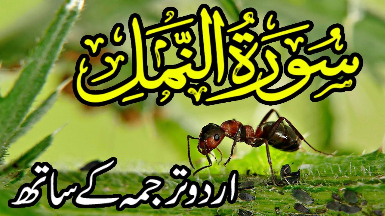 Surah Namal Urdu Tarjuma K Sath | Surah Al Namal With Urdu Translaion Home Quran Teaching |