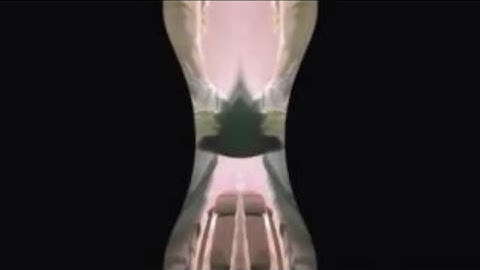 The Patrick Show Intro In Ear Bleeping