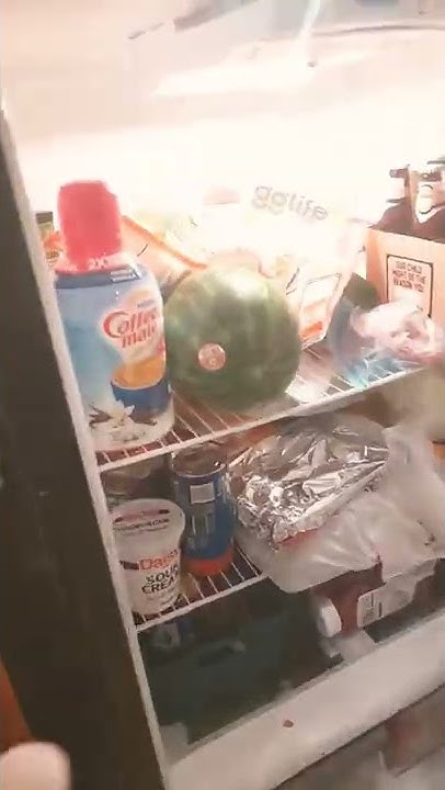 Yo Who Put Michael Jackson In The Freezer Who put Michael Jackson in the freezer - YouTube