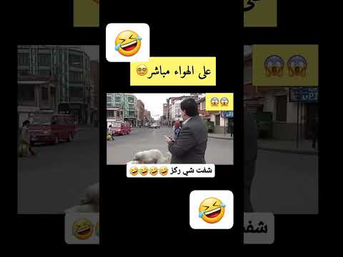 مذيع على الهواء يتفاجأ بموقف لا ي صدق مذيع مباشر موقف مضحك فيديو كوميدي ضحك اكسبلور
