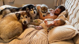Our Morning Routine With 3 Giant Dogs A Cat And A Baby!! (SO CUTE!!)